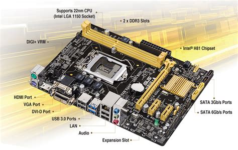 Intel H81｜Motherboards｜ASUS Global.